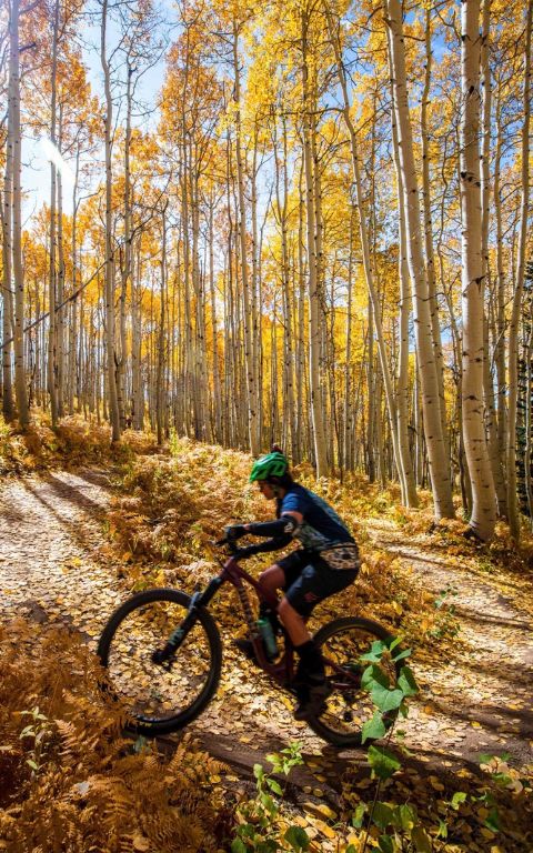 pagosa-biking-01